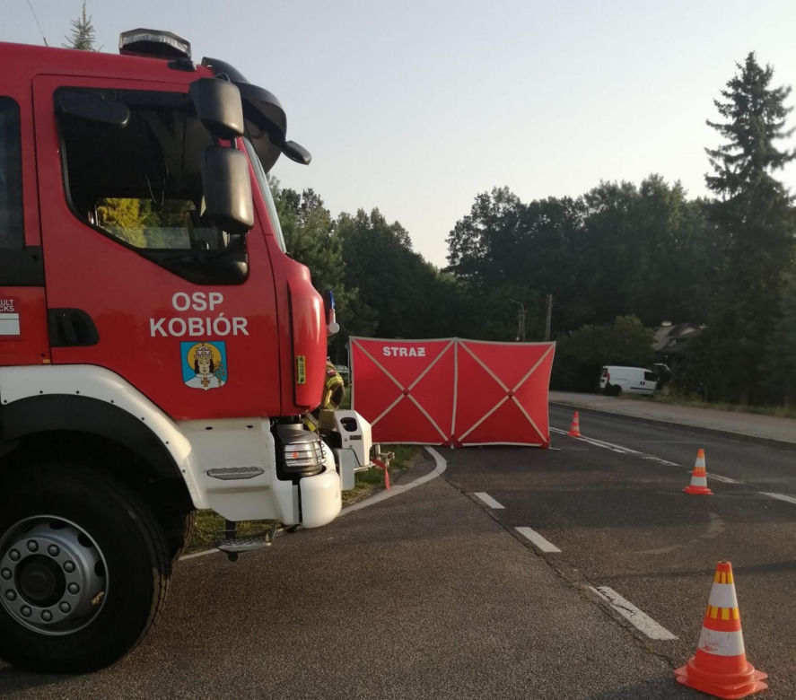 Śmiertelny wypadek pod Pszczyną. Rowerzysta nie żyje. Kierowca audi, który uciekł, był pijany [ZDJĘCIA]