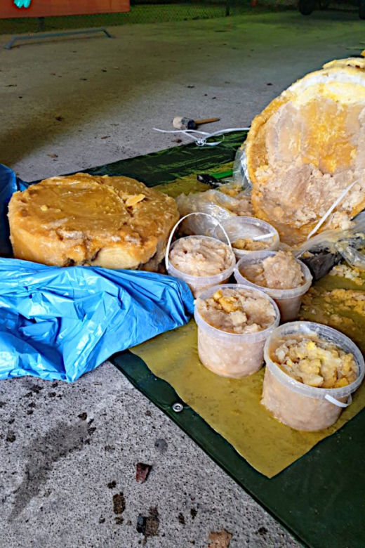 Gigantyczny przemyt z Ekwadoru. Kokainę ukryli w pulpie ananasowej 