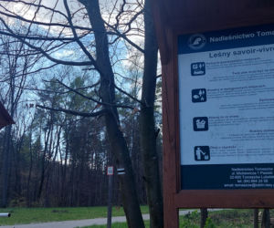 52. Rajd Spotkanie z wiosną