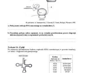 Arkusz biologia rozszerzony matura 2014
