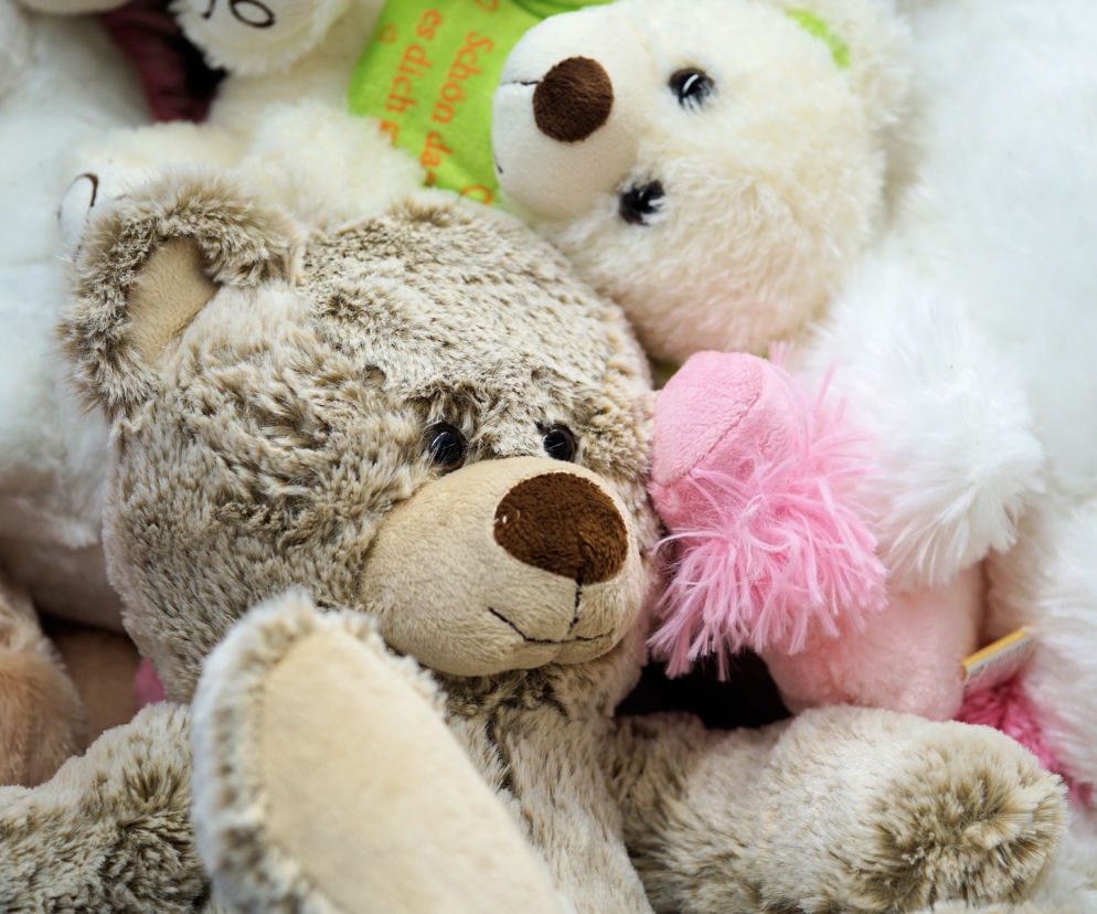 Niepotrzebne pluszaki nie muszą trafić do kosza! Ruszyła akcja „Podziel się zabawką”