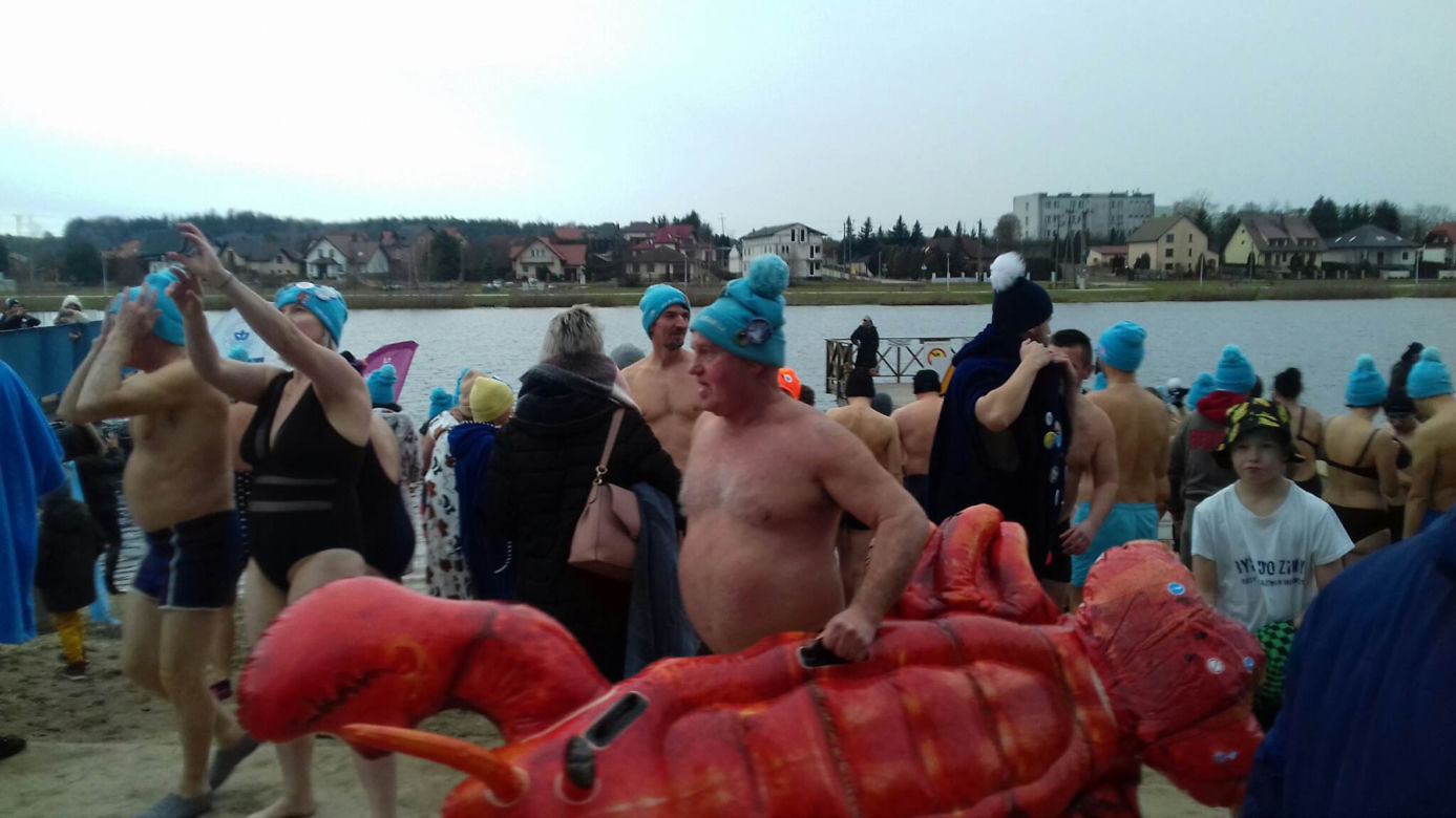 Wielkie liczenie morsów w Morawicy. Do wody weszło około stu osób! 