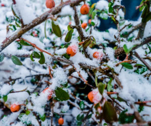 Nagły atak zimy tuż przed Wielkanocą. Śnieg i zgrzytanie zębami z zimna