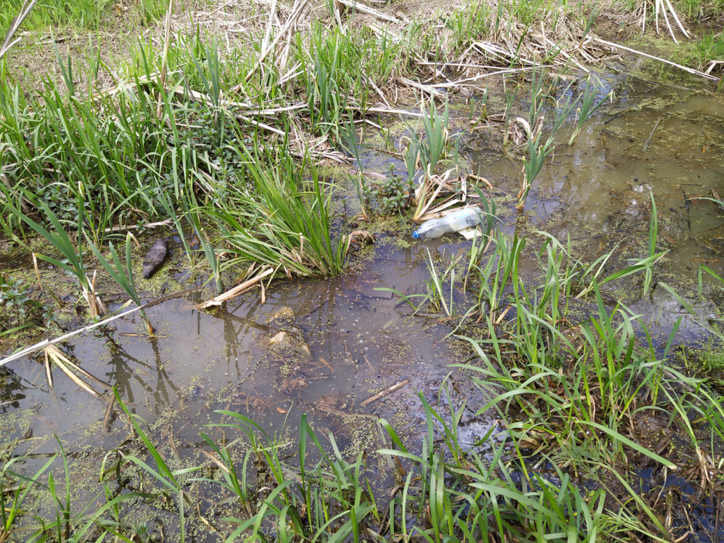 Sprzątanie mostu kolejowego nad rzeką Muchawką - 15.05.2021
