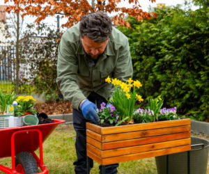 Wiosenne porządki w ogrodzie