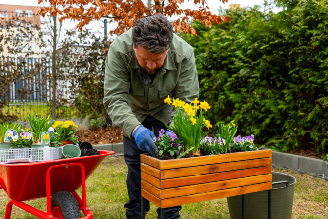 Wiosenne porządki w ogrodzie