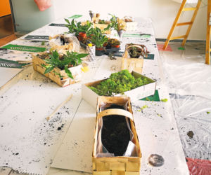 Warsztaty zero waste