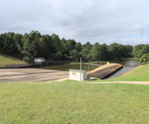 Aurea w stanie Rio Grande do Sul