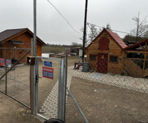 Zabrali dzieciom psa jak rzecz