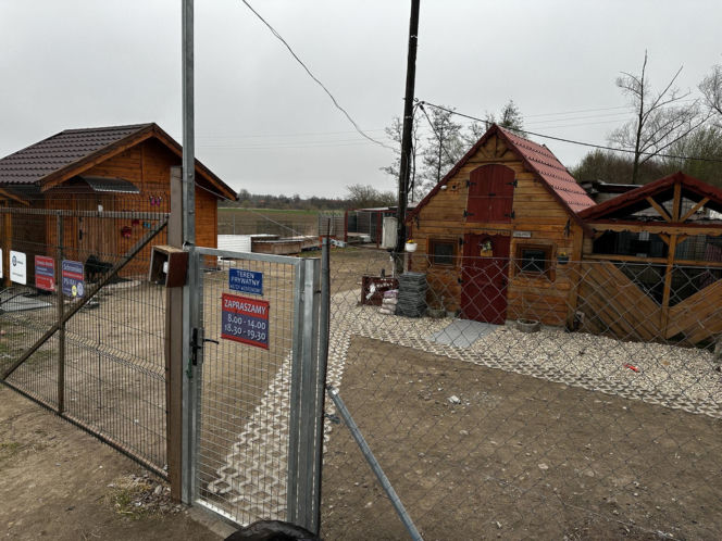 Zabrali dzieciom psa jak rzecz