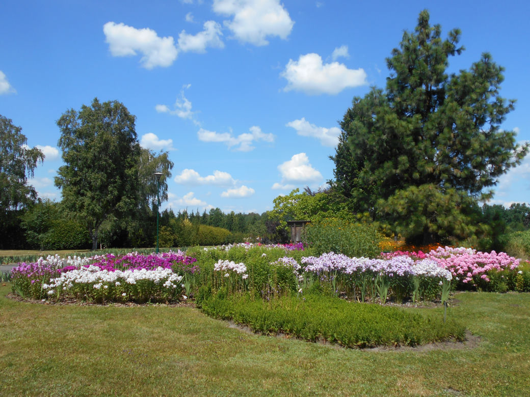 Polska Akademia Nauk Ogród Botaniczny w Powsinie