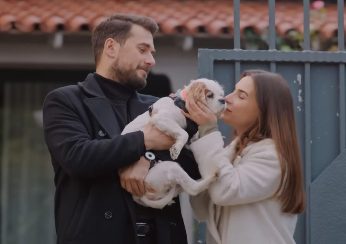 Miłość i nadzieja, odcinek 331. Sila, Kuzey
