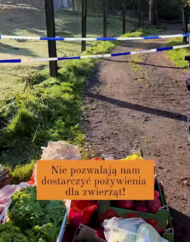 Prywatne zoo na Dolnym Śląsku pod lupą śledczych. Czy znęcano się tam nad zwierzętami?