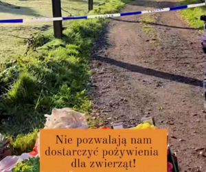 Prywatne zoo na Dolnym Śląsku pod lupą śledczych. Czy znęcano się tam nad zwierzętami?