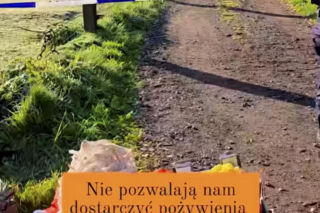 Prywatne zoo na Dolnym Śląsku pod lupą śledczych. Czy znęcano się tam nad zwierzętami?