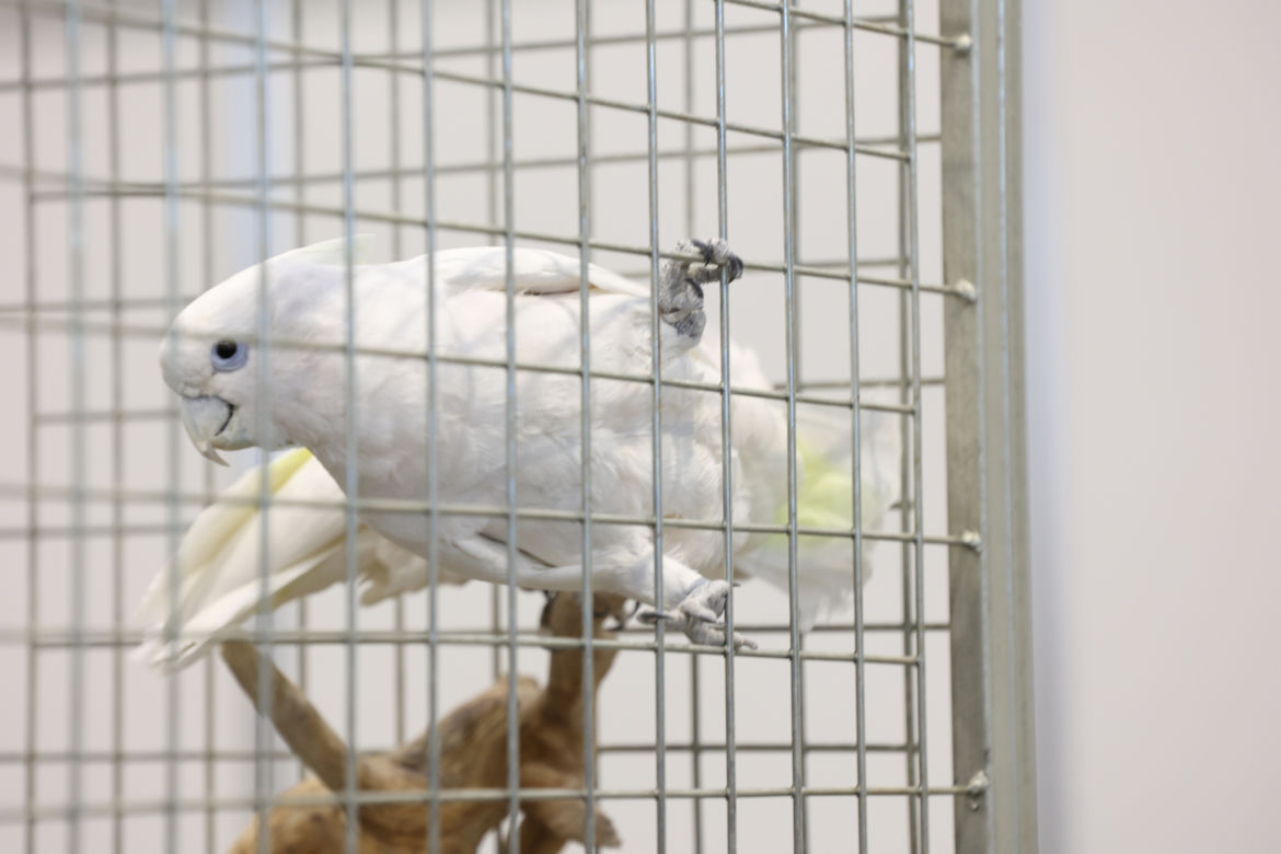 ZooPark 2023 w Lublinie przyciągnął tłumy!