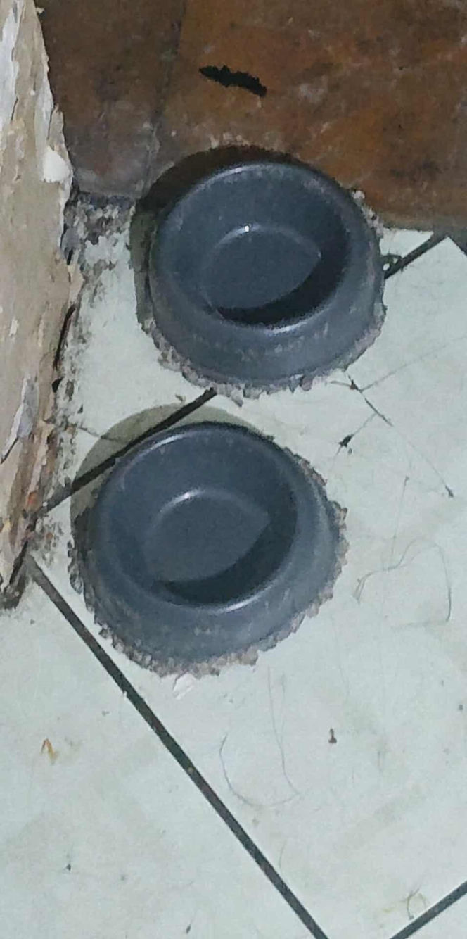 Interwencja Radzionków