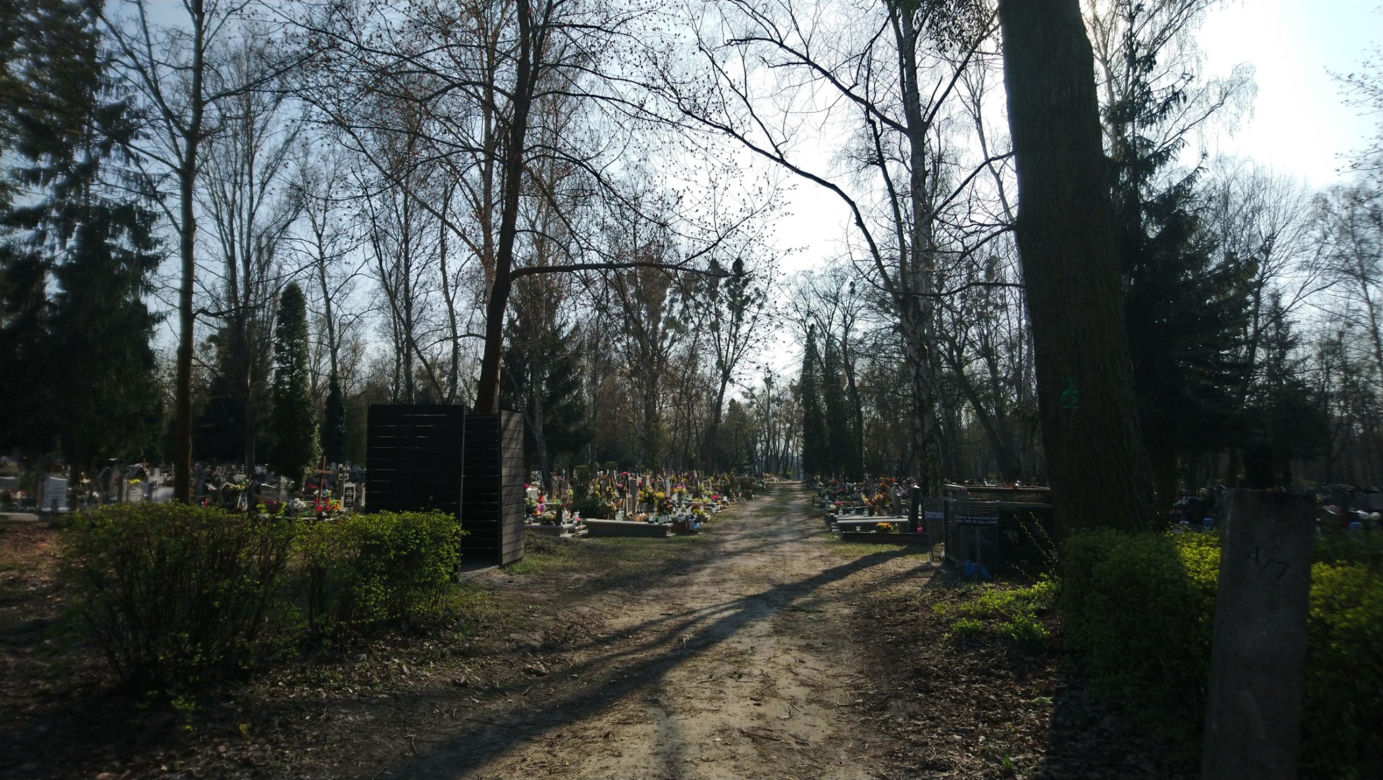 Czy poznaniacy stosują się do zakazów? Zaskakujące dane Straży Miejskiej! [ZDJĘCIA]