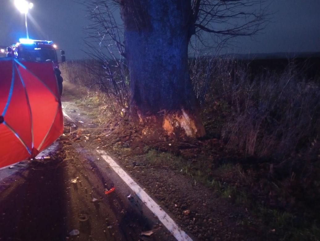 Pomorskie. Tragiczny wypadek koło wsi Zdrada [29.11.2022]