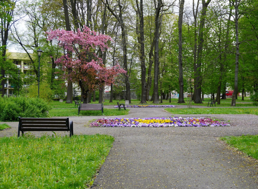 Park Bronowice wiosną 2024