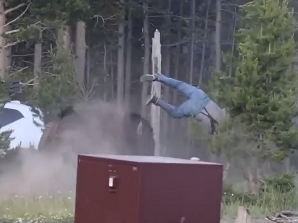 Atak bizona w Parku Narodowym Yellowstone