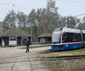 Przebudowa pętli Las Gdański ruszy w 2026 roku. Wycięto ponad 330 drzew!
