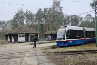 Przebudowa pętli Las Gdański ruszy w 2026 roku. Wycięto ponad 330 drzew!