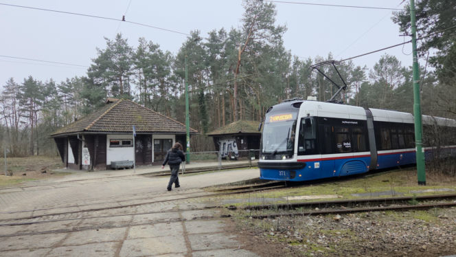 Przebudowa pętli Las Gdański ruszy w 2026 roku. Wycięto ponad 330 drzew!
