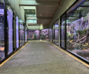 Egzotarium w Sosnowcu