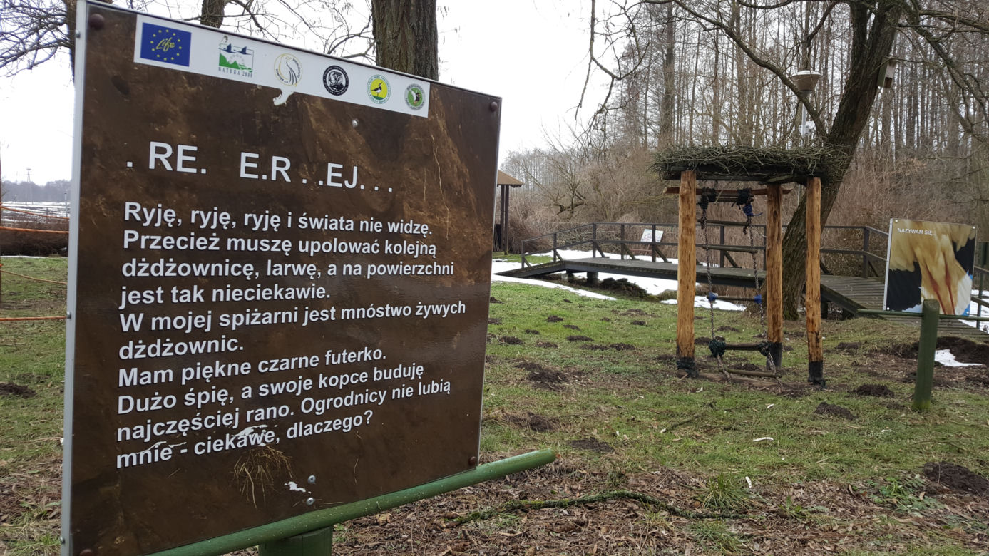 Łomżyński Park Krajobrazowy Doliny Narwi