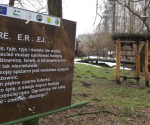 Łomżyński Park Krajobrazowy Doliny Narwi