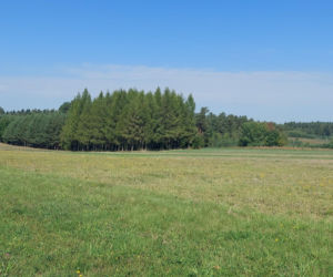 52. Rajd Miłośników Roztocza