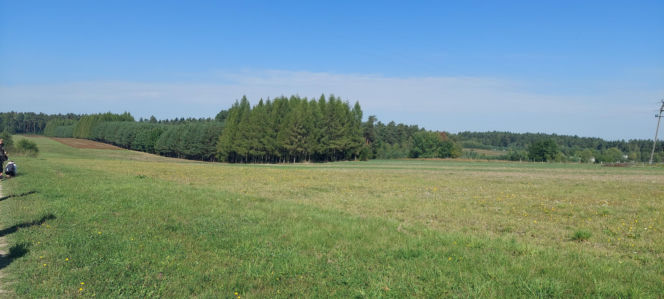52. Rajd Miłośników Roztocza