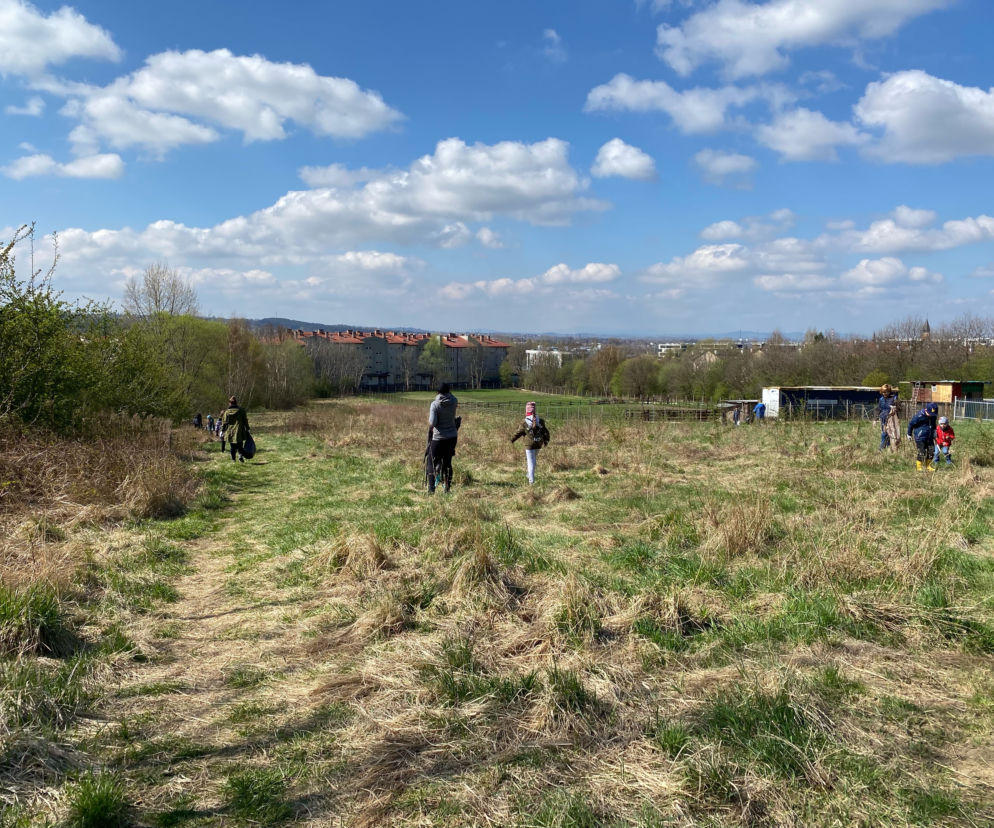 Sprzątanie śmieci na Klinach 