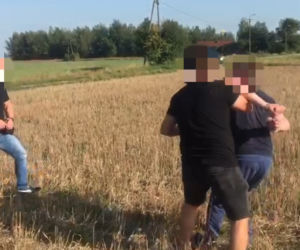 Ganiali się ze złodziejem po polu