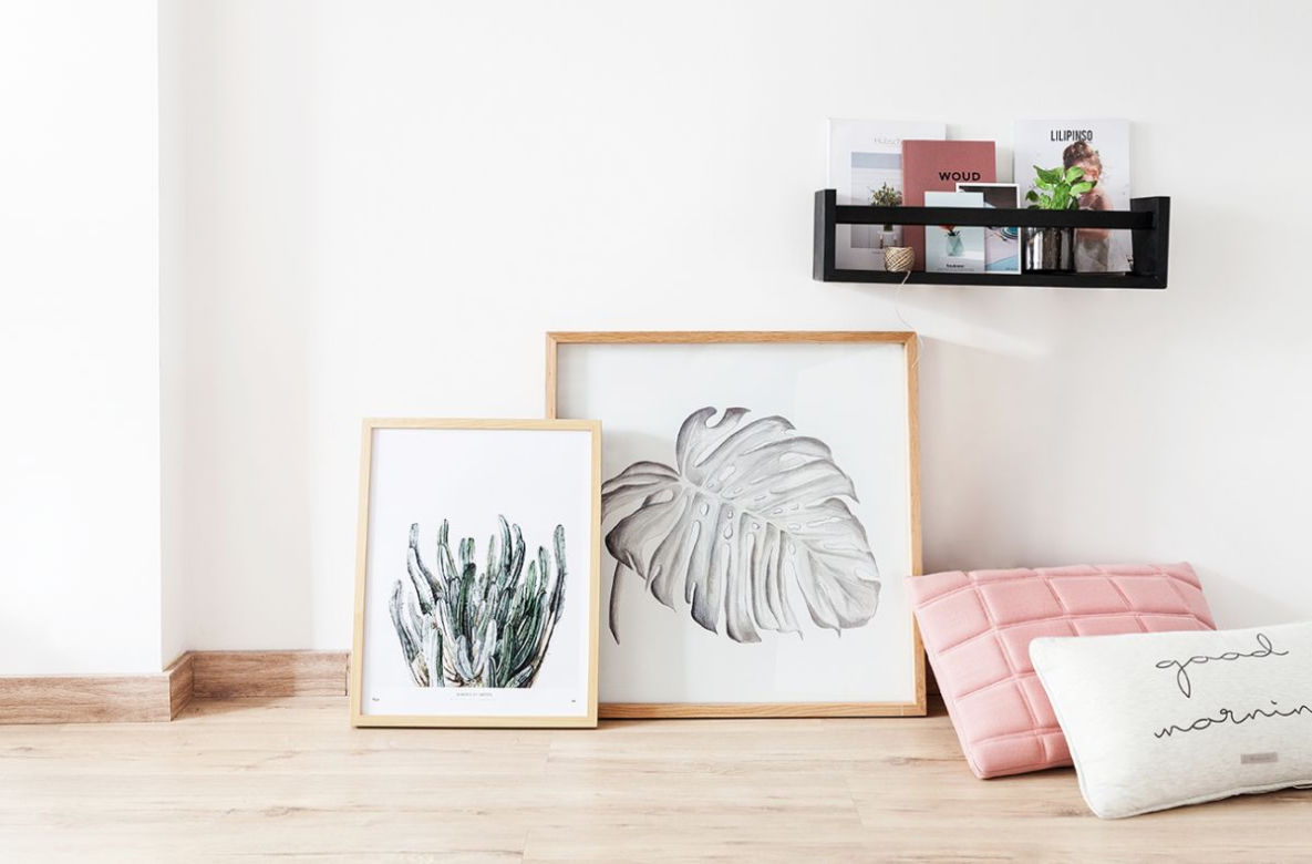 Monstera we wnętrzach