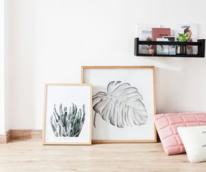 Monstera we wnętrzach