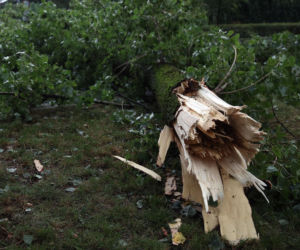 Ani śladu zimy! IMGW widzi inne problemy. Nowa prognoza pogody dla Polski