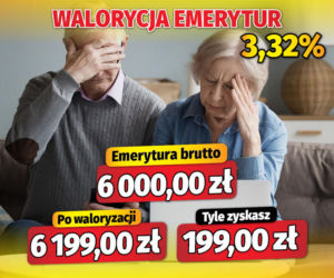Fiszki waloryzacyjne