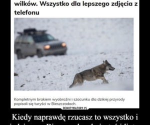 Memy o Bieszczadach