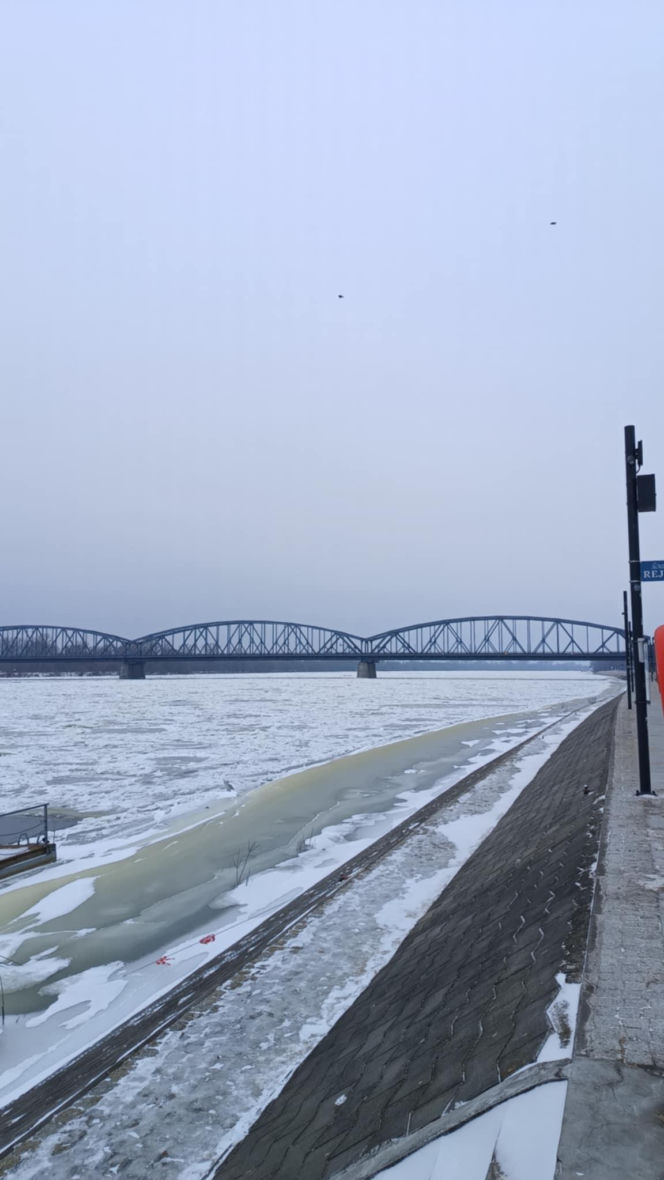 W Toruniu zamarzła Wisła