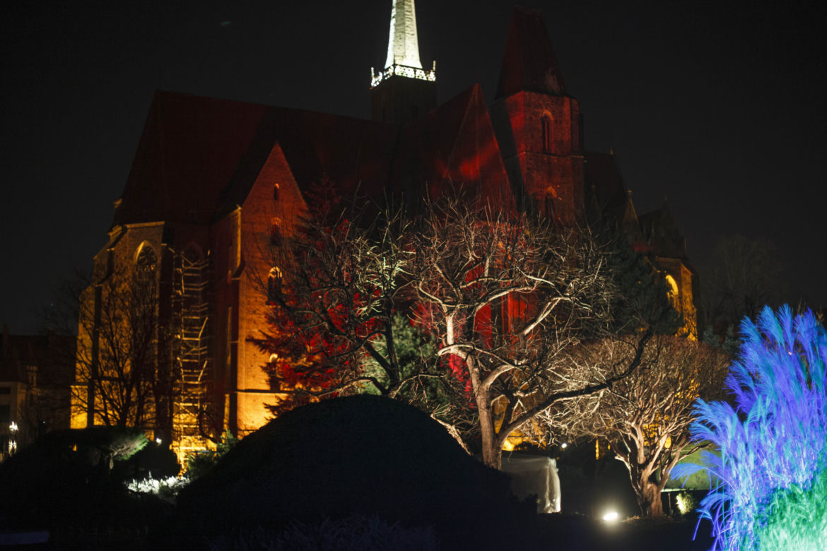 Lasery, muzyka i kolorowe iluminacje w Ogrodzie Botanicznym we Wrocławiu
