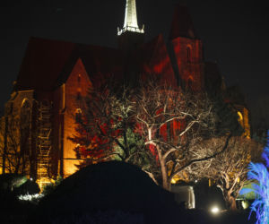 Lasery, muzyka i kolorowe iluminacje w Ogrodzie Botanicznym we Wrocławiu