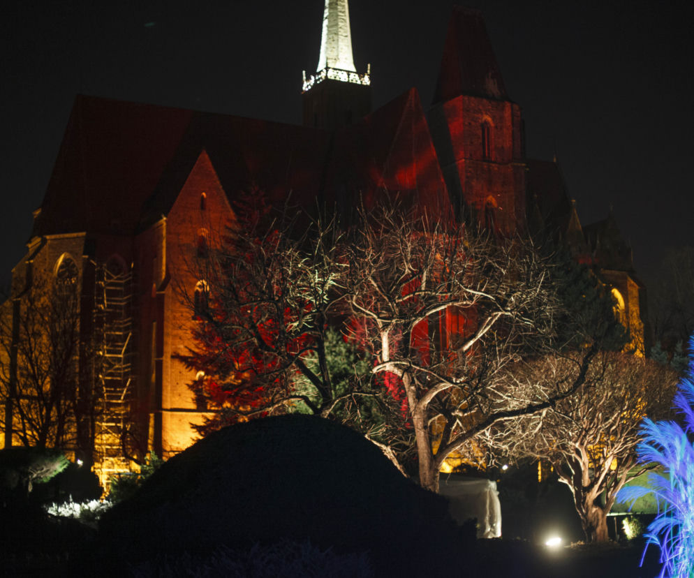 Lasery, muzyka i kolorowe iluminacje w Ogrodzie Botanicznym we Wrocławiu