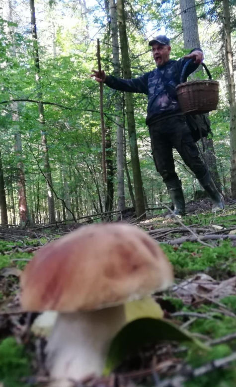 Dla nas Numer 1 wśród świętokrzyskich grzybiarzy podsumowuje sezon