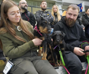 Międzynarodowa Wystawa Psów Rasowych Duo Cacib Kielce 2025