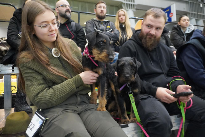 Międzynarodowa Wystawa Psów Rasowych Duo Cacib Kielce 2025