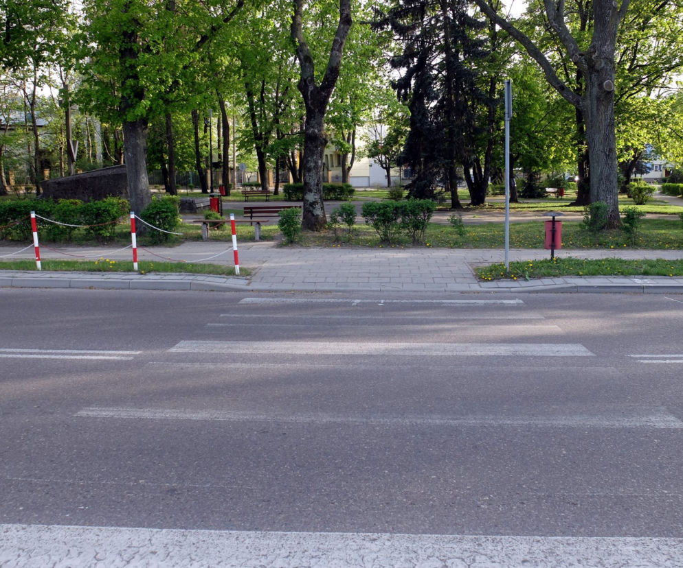 Chory Cimoszewicz potrącił rowerzystkę na pasach