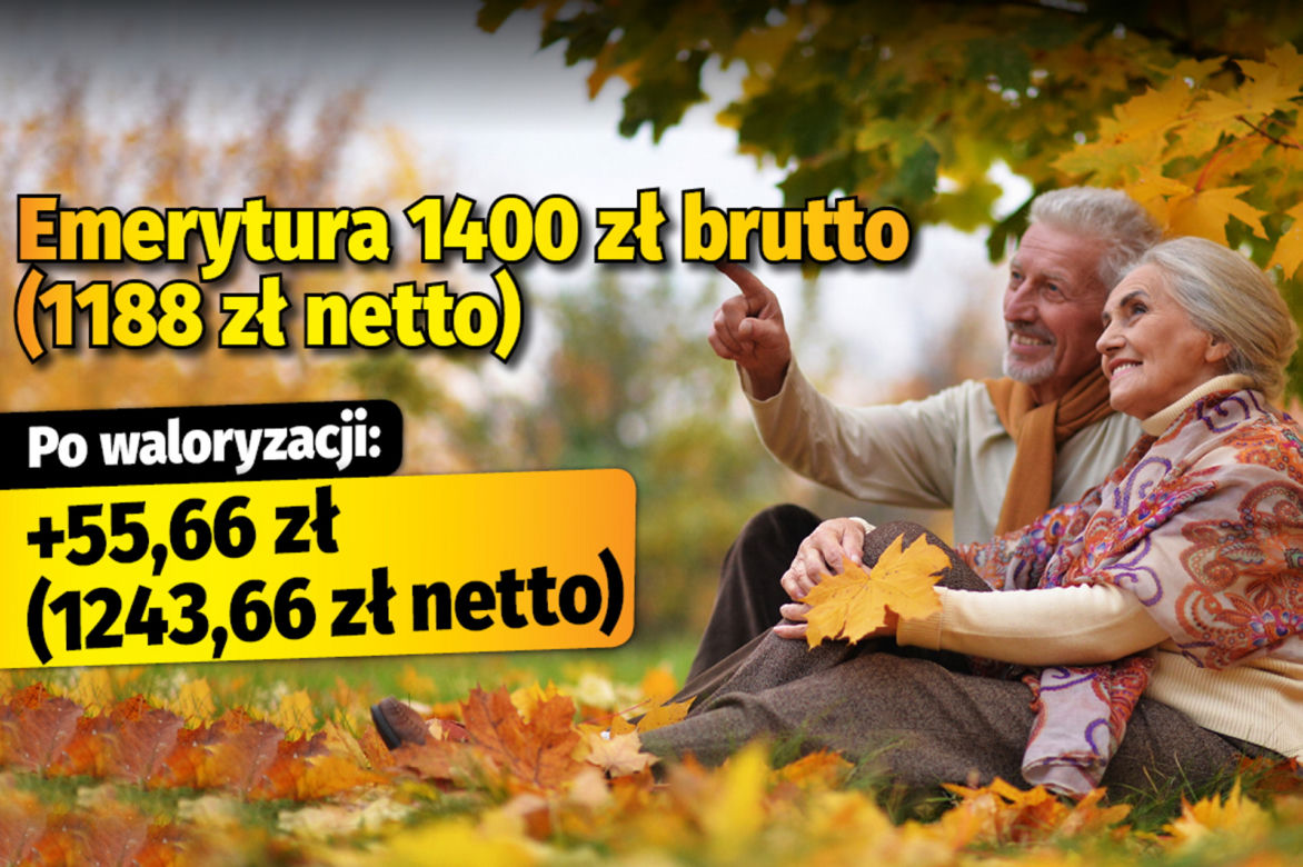 Polski Ład/waloryzacja 4,89