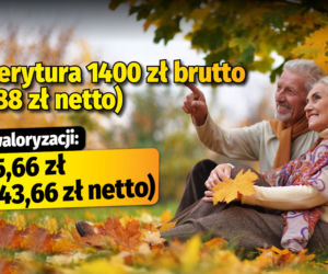 Polski Ład/waloryzacja 4,89
